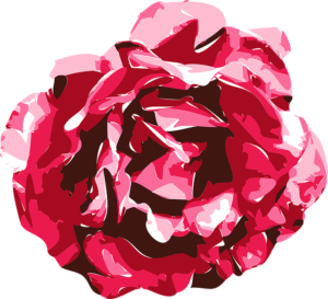 jak narysować różę