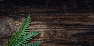 Czy Ziemia do paproci nadaje się do innych kwiatów?