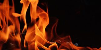 Dlaczego nie palić mokrym drewnem?