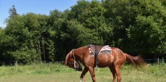 Jak prawidłowo zamontować światła do jazdy dziennej?