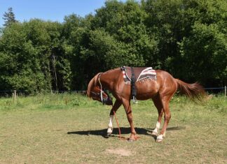 Jak prawidłowo zamontować światła do jazdy dziennej?