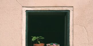 Jak podlewać kwiaty gdy nas nie ma?