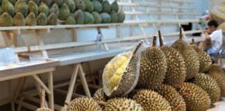 Jak działa Load Sensing?