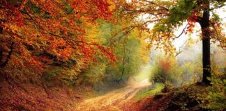 Jaki powinien być spadek pod prysznicem?