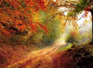 Jaki powinien być spadek pod prysznicem? Jaki powinien być spadek pod prysznicem?