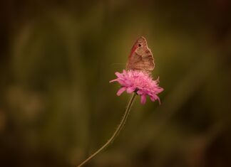 Jak i czym usunąć rdzę z numeru nadwozia?