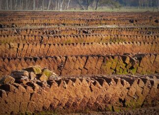 Czy torf zatrzymuje wilgoć?