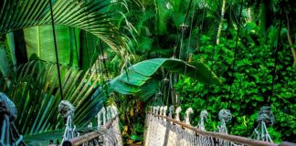 Czy warto robić kurs barmana?