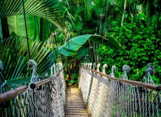 Na co najlepiej zrobić kurs?