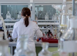 Ile kosztuje diagnostyka komputerowa samochodu?