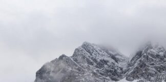 Dlaczego na neutralnym jest faza?