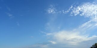 Jak zatrzymać wodę na działce?