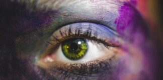 Jak rozpoznać królowa w ulu?