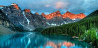 Czy kamień betonowy trzeba impregnować?