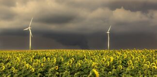 W jakiej kolejności gasić auto?