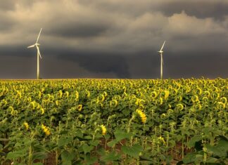 W jakiej kolejności gasić auto? W jakiej kolejności gasić auto?