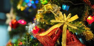 Kiedy rozebrać choinkę w domu?