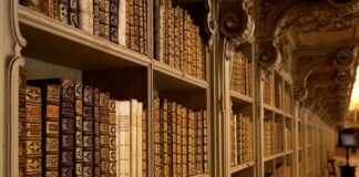 Co to za firma AAA AUTO?