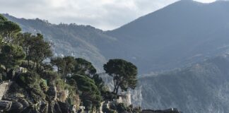 Ile kosztuje samochód Volkswagen?