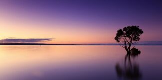 Ile wody do kulek hydrożelowe?