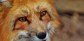 Jak sprawdzić datę produkcji?