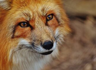 Jak sprawdzić datę produkcji?