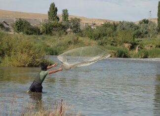 Na co zatopić siatkę? Na co zatopić siatkę?