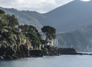 Ile kosztuje wymiana świec?