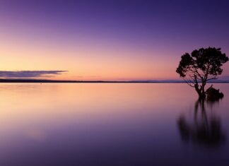 Jak spuścić wodę z jacuzzi na zimę?