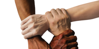 Jak długo można trzymać matkę w klateczce?