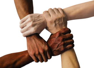 Jak długo można trzymać matkę w klateczce?