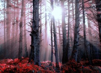 Jak wygląda spalona świeca?