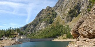 Ile powinno być płynu hamulcowego?