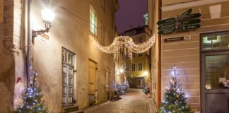 Dlaczego choinka na święta?