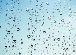 Co położyć na wilgotne ściany?