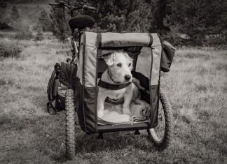 Czy przyczepka samochodowa musi mieć tabliczkę znamionową?