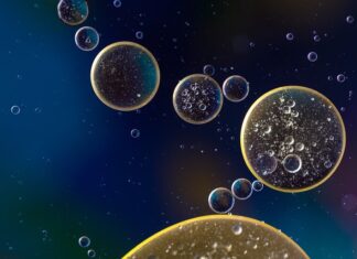 Ile kosztuje wymiana oleju w serwisie Fiata? Ile kosztuje wymiana oleju w serwisie Fiata?