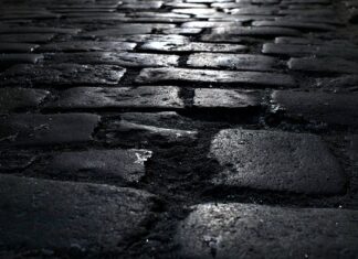 Co lepsze podłoże czy ziemia? Co lepsze podłoże czy ziemia?