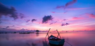 Jaki kolor mają światła stopu?