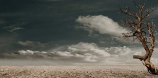 Jak zwiększyć ilość wody w glebie?