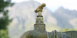 Jak nawadniać kwiaty w czasie urlopu?