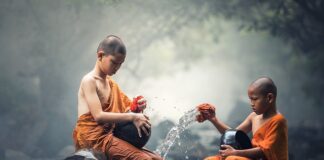 Co daje czyszczenie kolektora ssącego?