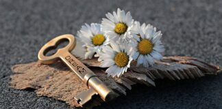 Jak otworzyć zablokowany shaker?