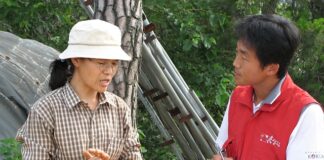 Czy egzaminator informuje o błędzie?