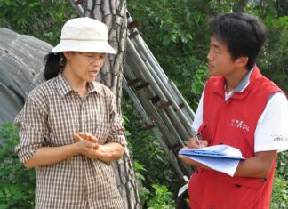 Czy egzaminator informuje o błędzie?