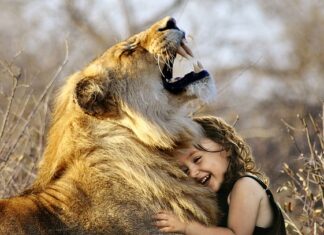 Jaka jest najlepsza taśma izolacyjna?