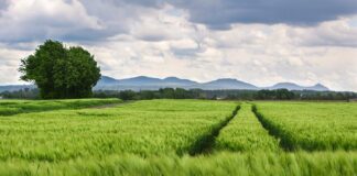 Jak zmienić rozstaw śrub z 4x100 na 5x112?