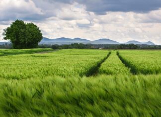 Jak zmienić rozstaw śrub z 4x100 na 5x112?
