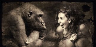 Ile koni mechanicznych ma Matiz?