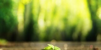 Jak znaleźć sprawcę wypadku po numerze rejestracyjnym?